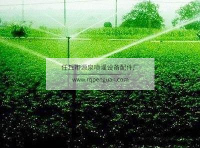 源泉噴灌應(yīng)用案例