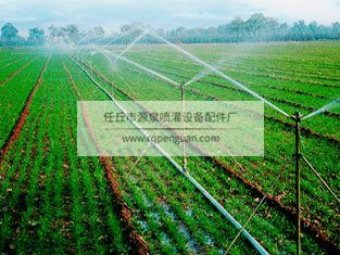 源泉噴灌應(yīng)用案例