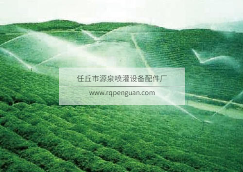 源泉噴灌應(yīng)用案例